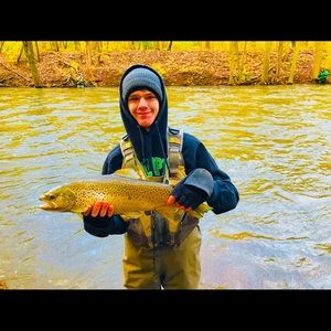 Meet your Posher, Austin